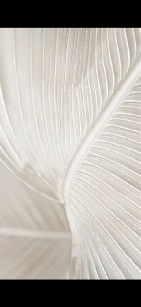 Blowout Style at Jocelyn Ollinger in Kalispell, MT