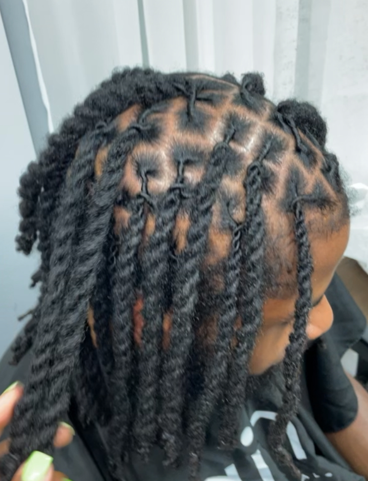 Retwist & Style (2 Strand Twists)