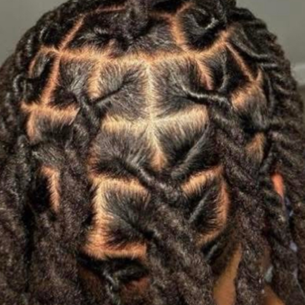 Starter Locs (L) at Refined Crowns - RC Styles in Arlington, TX