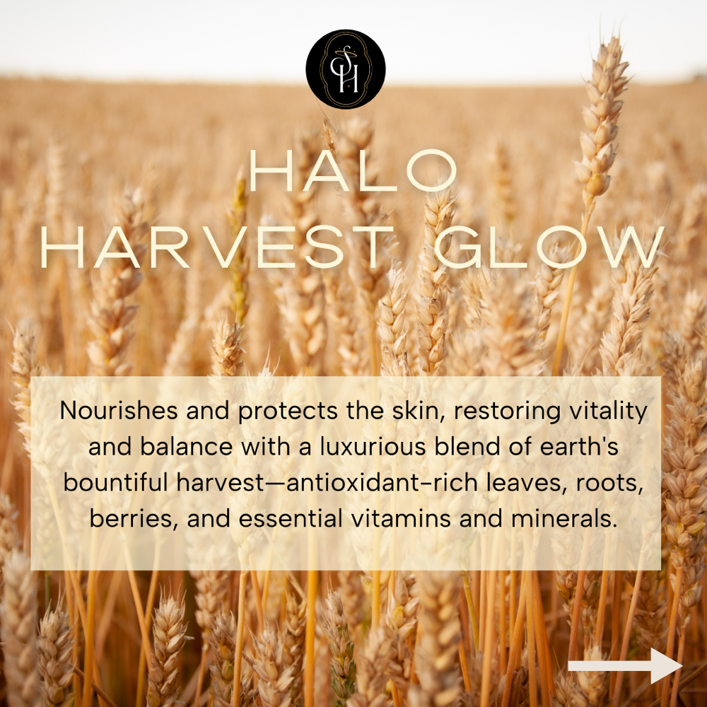 ALL SEASONAL: Halo Harvest Glow