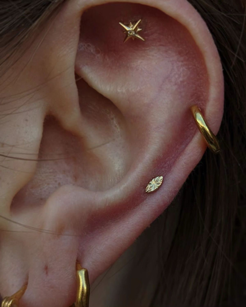 HELIX/CARTILAGE