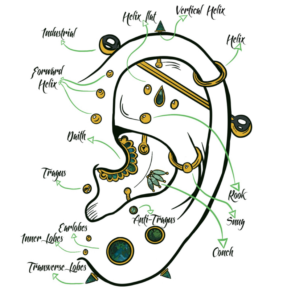 Transverse Lobe (Single) at Ethereal Adornments Pierced By Cambria in Murrieta, CA