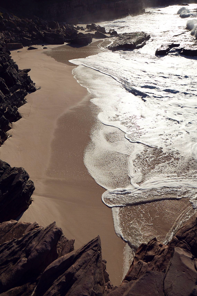 Procell Therapies Hair Regrowth