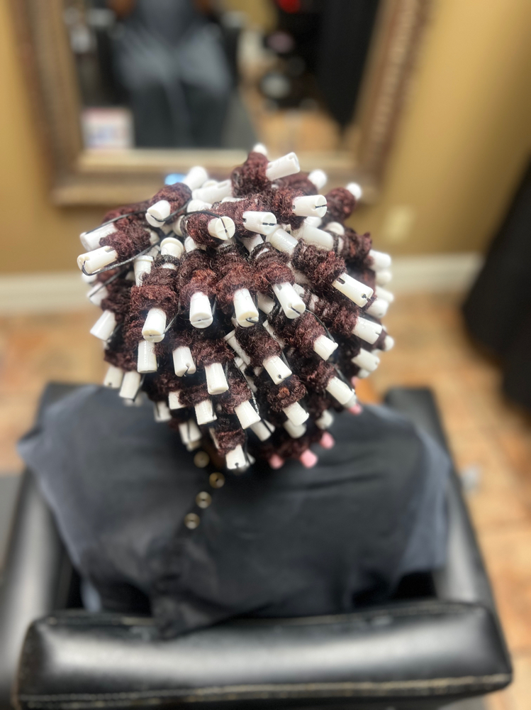 Roller Set On Locs