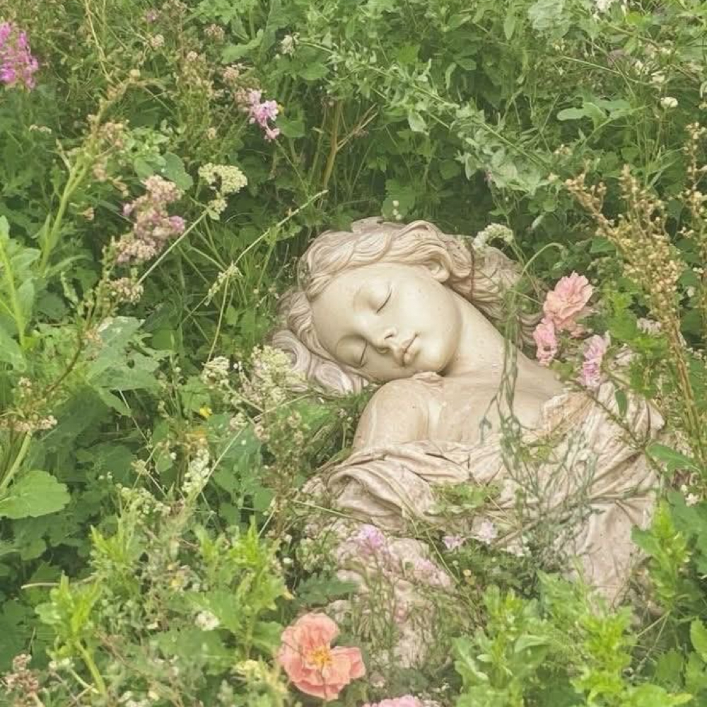 Garden Glow at Fae Esthetics in Raleigh, NC