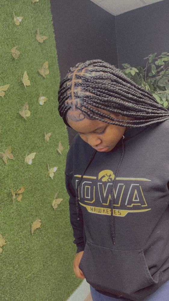 Small Knottless Box Braids