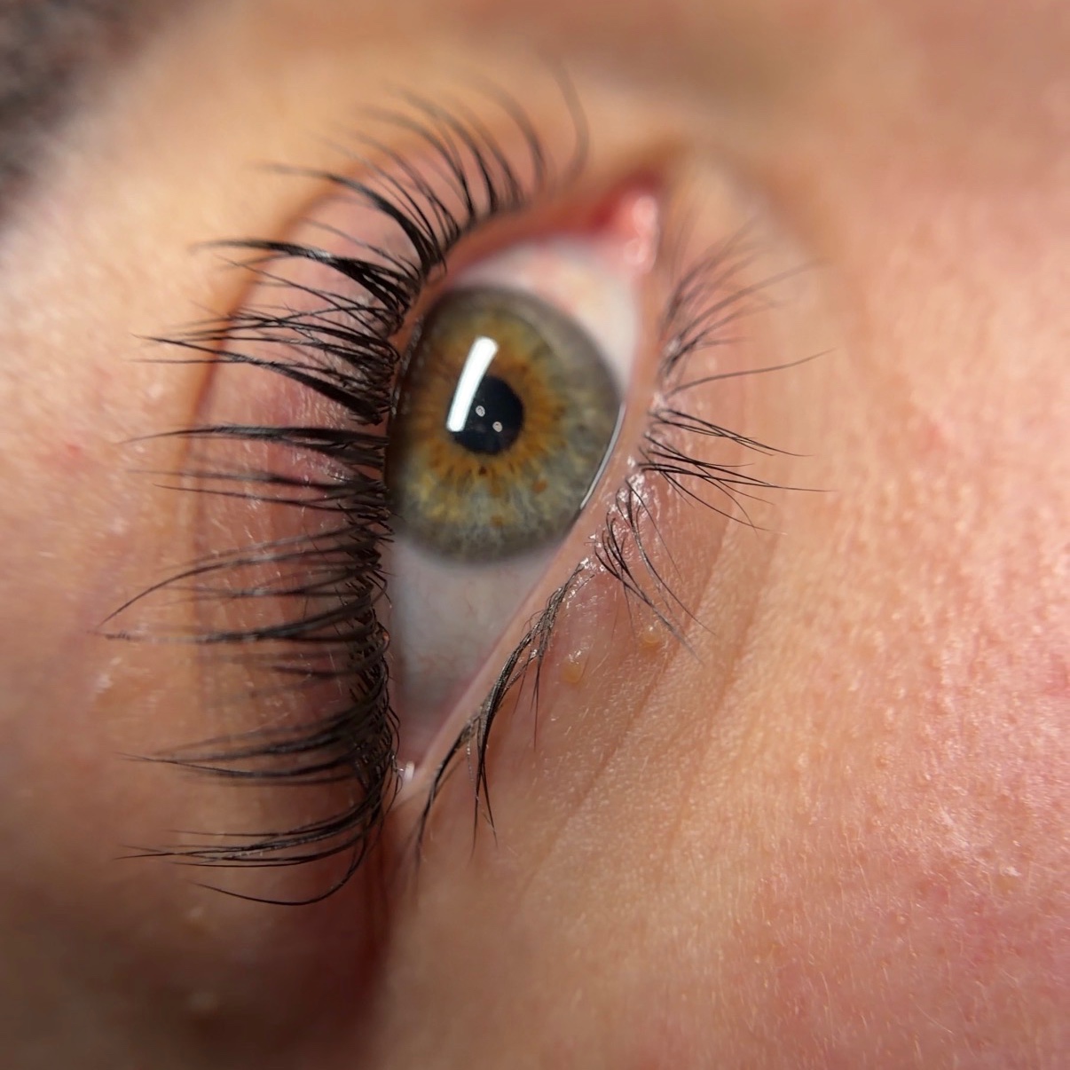 Korean Lash Lift at Esthetics x Evelyn in Bakersfield, CA