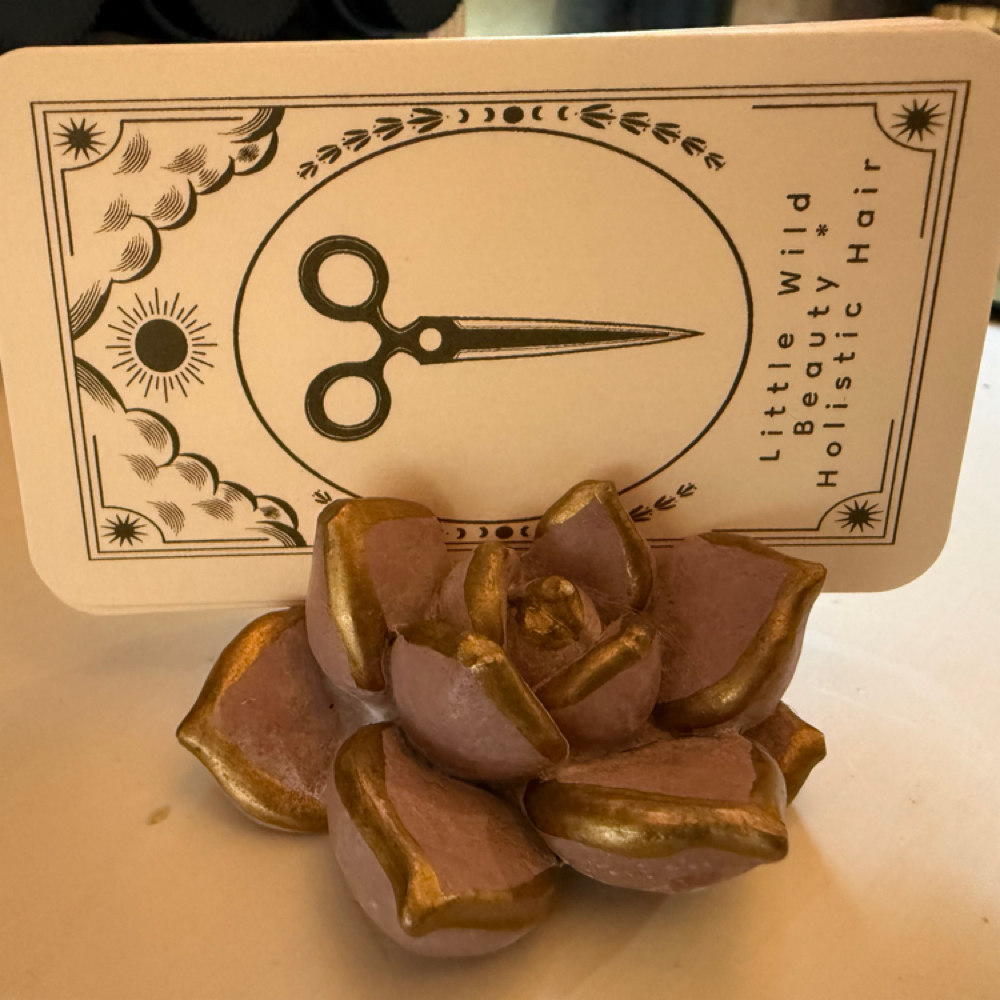 Reiki Session 15 Minutes at Little Wild Beauty in Fort Lauderdale, FL