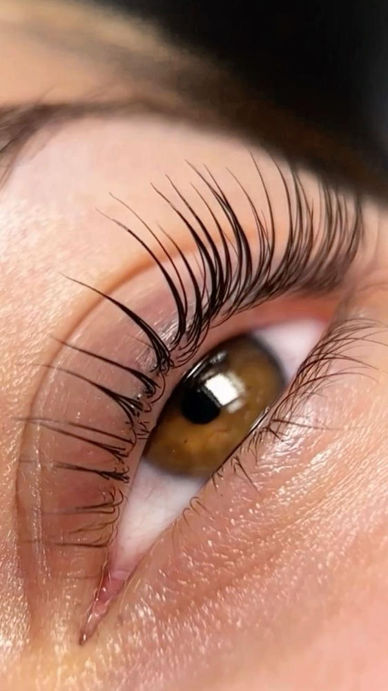 Lash Tinting