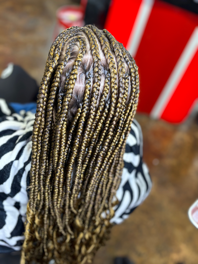 Knotless Braids