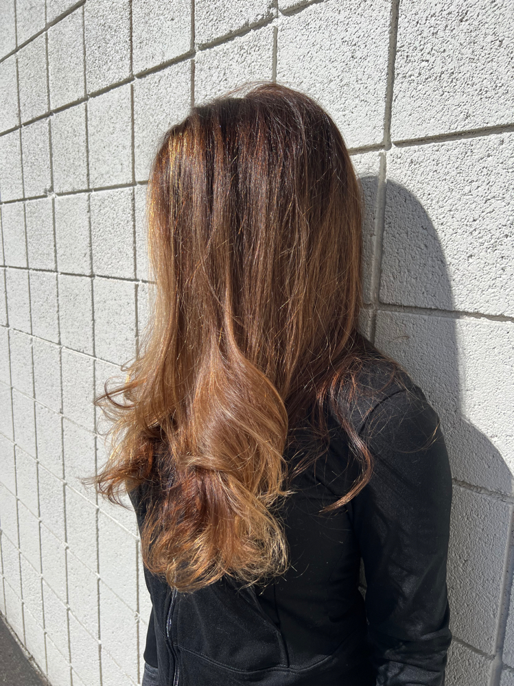 Partial Highlight + Blowdry