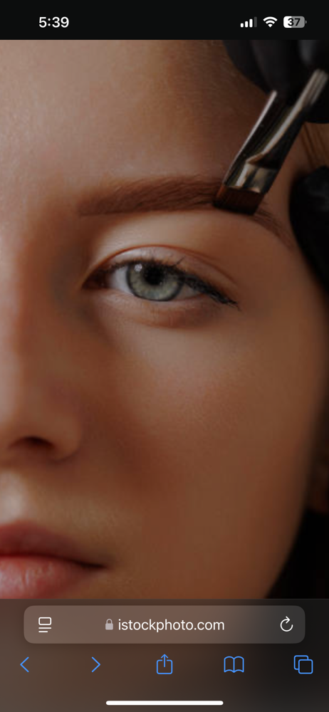 Eye Brow Tint at Pure Elegance Salon & Spa LLC in Sheboygan, WI