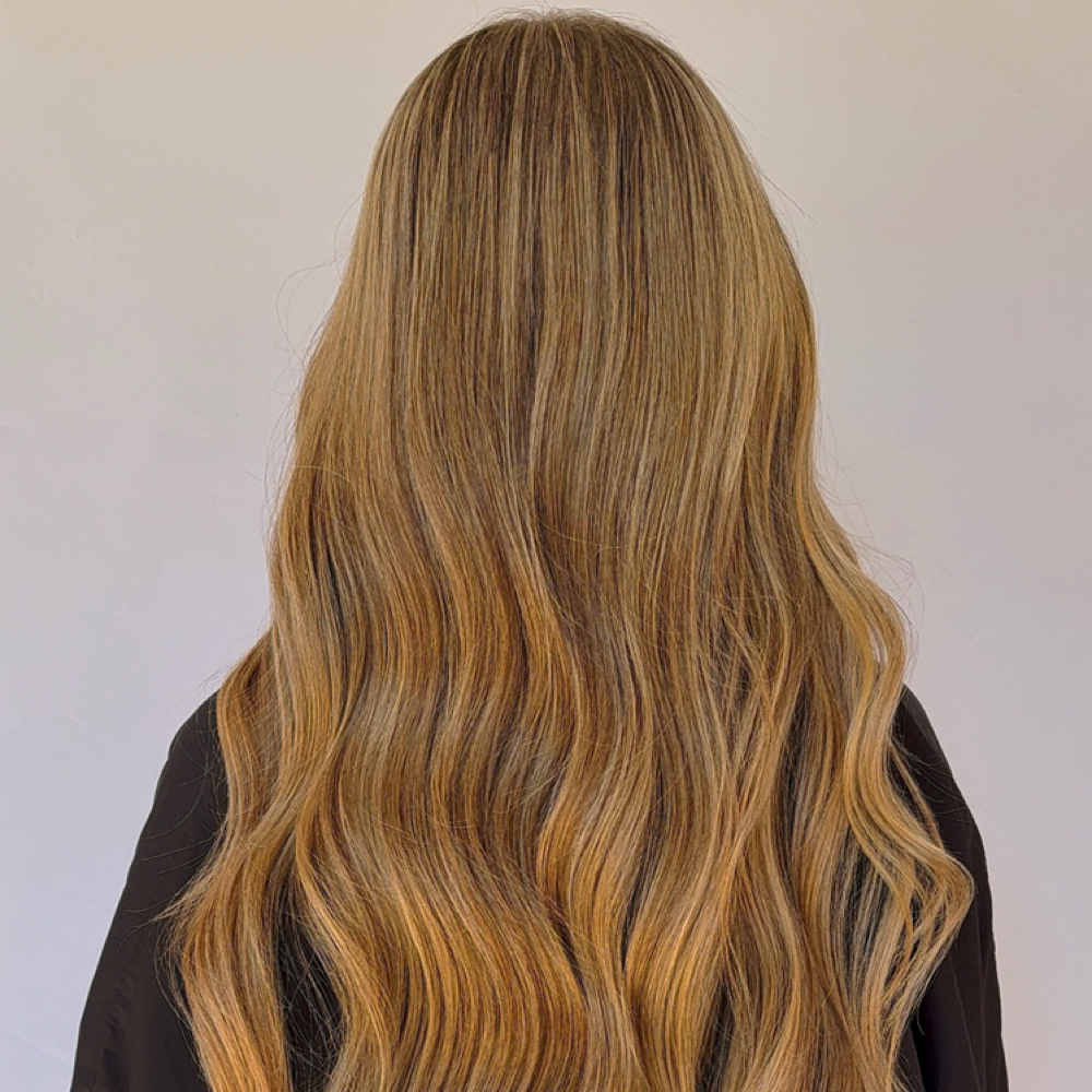 Full Highlight at Sincerely Sami in Richmond, TX