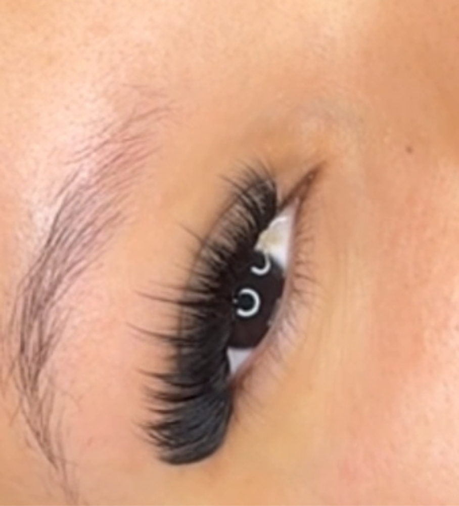 Whispy Volume Fill (2-3 weeks) at Aesthetic Muse in Newington, CT