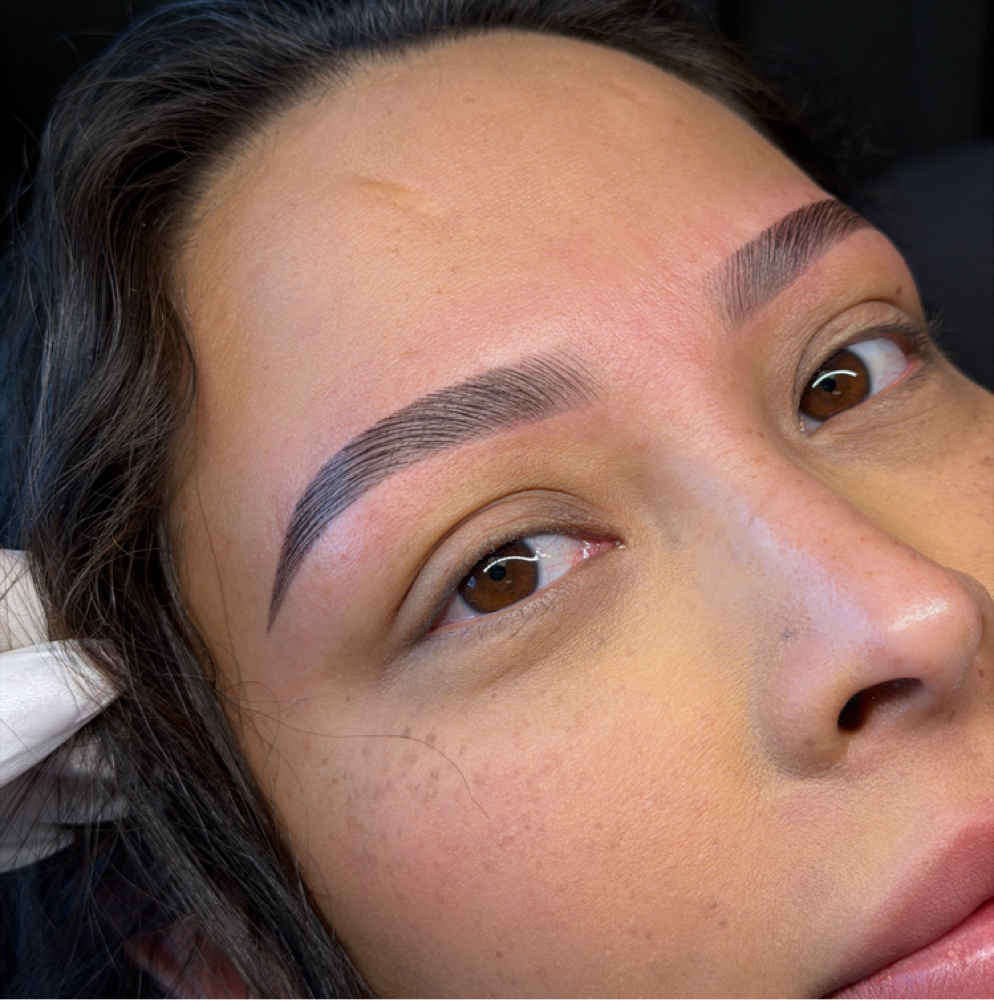 Signature Bundle with Hybird Tint at Skin N Brows in Centennial, CO