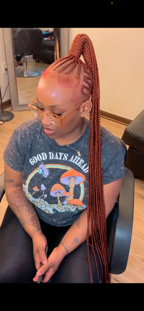 Braided Genie Ponytails