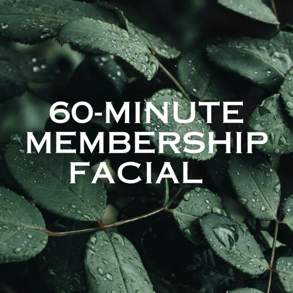 Essential Member Facial at Muse Beauty Bar in Downingtown, PA