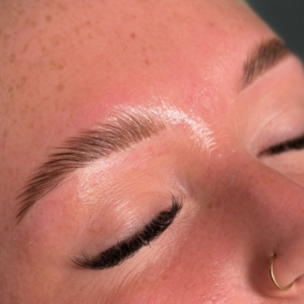 Brow Wax + Hybrid Tint at Bri Beauty in jefferson city, MO