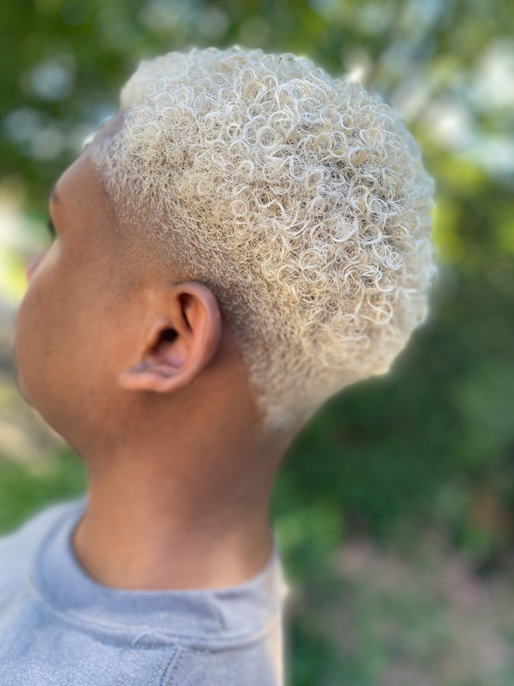 Tapered Cut/ Faded Haircolor