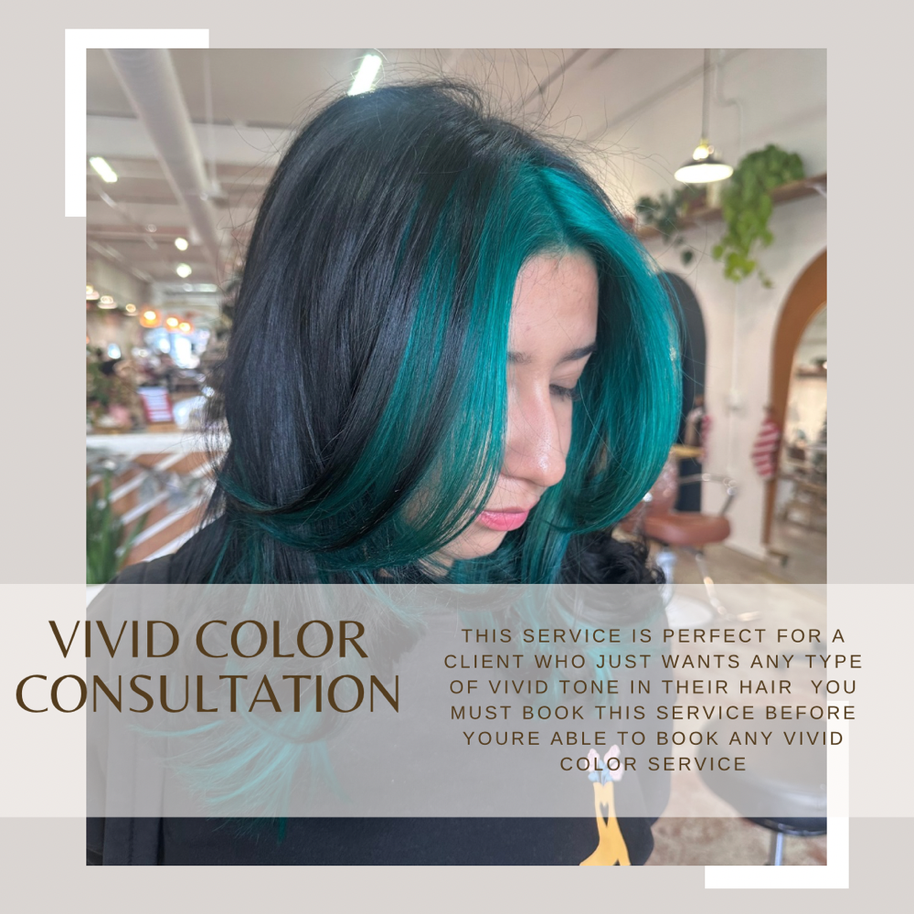 Vivid Color Consultation at Marisa Prizzi in Ventura, CA