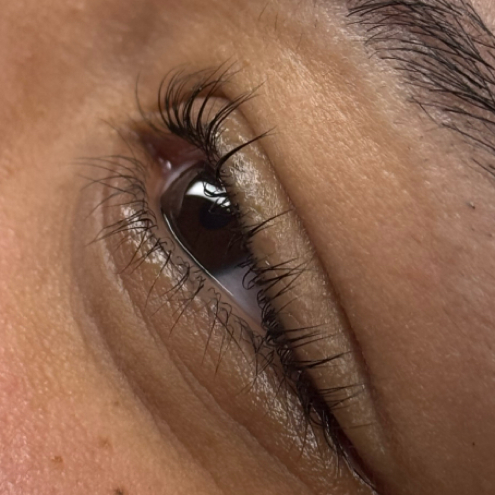 Lash Duo (Lift + Tint) at XO Lash Studio LLC. in Apollo, PA