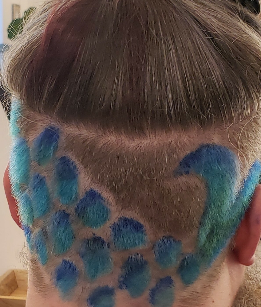 Haircut and Brow wax