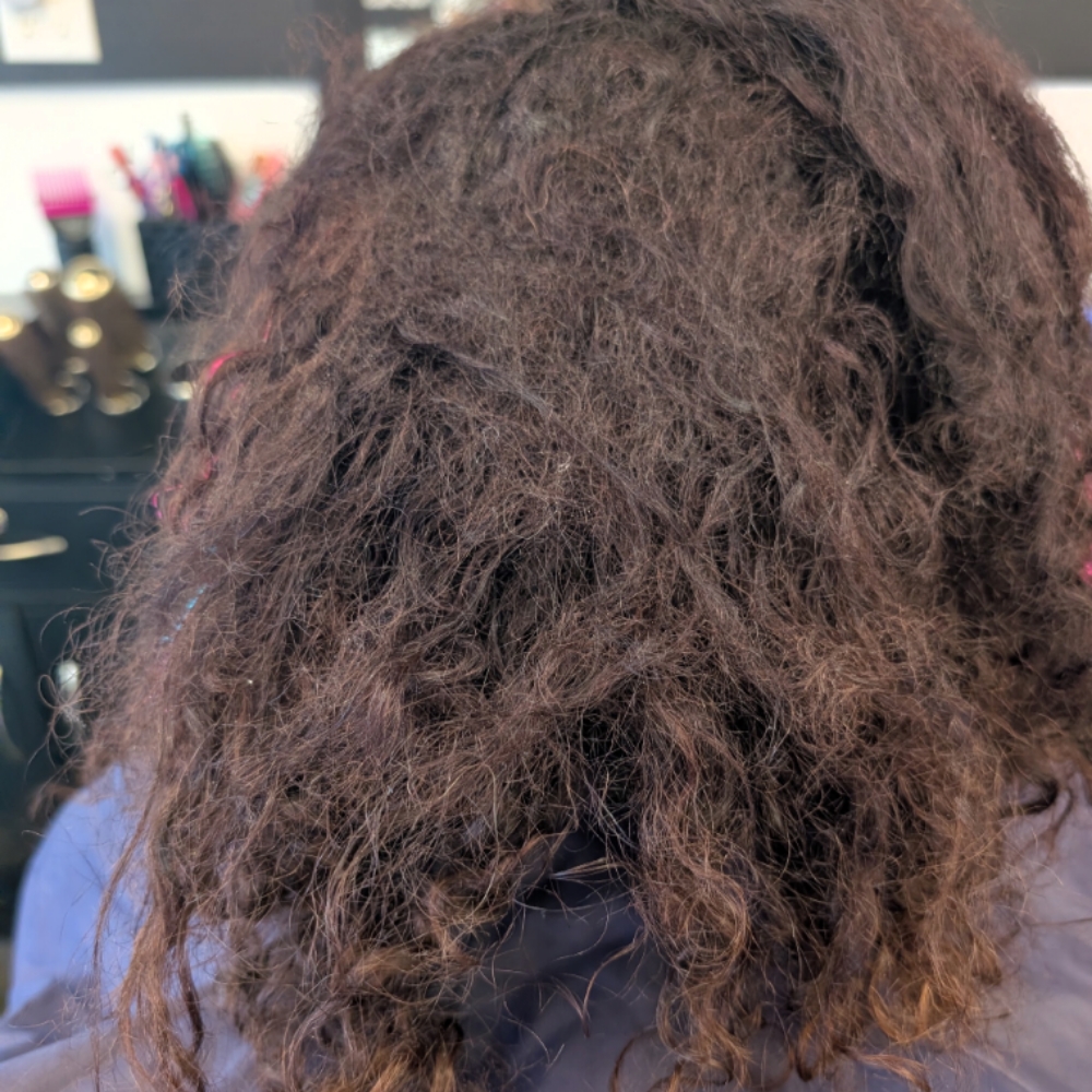 Dematting Hair Service at Dimensions Hair Studio & Spa in East Patchogue, NY