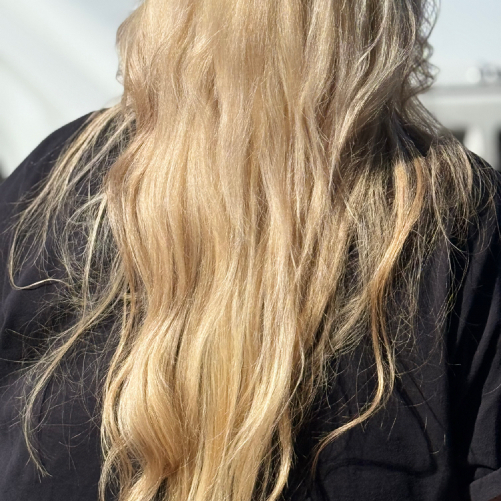 Split End Correction at Gossip Haus Beauty Salon in Caldwell, ID