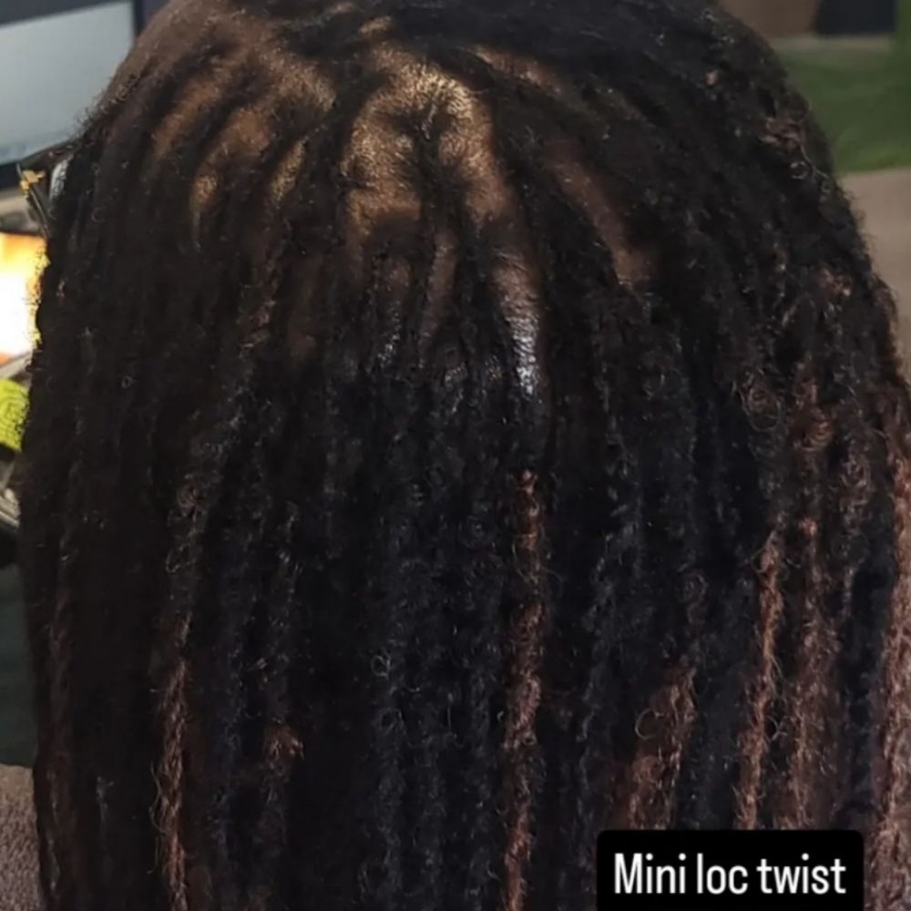 Micro Loc Twist With Extensions