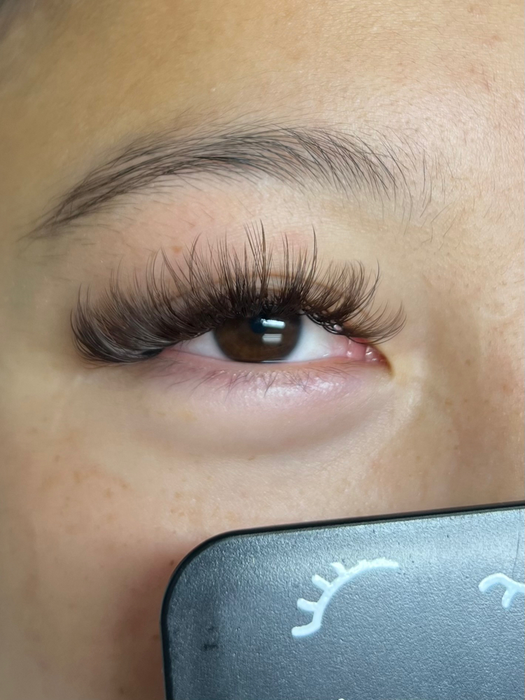 Brown Lashes