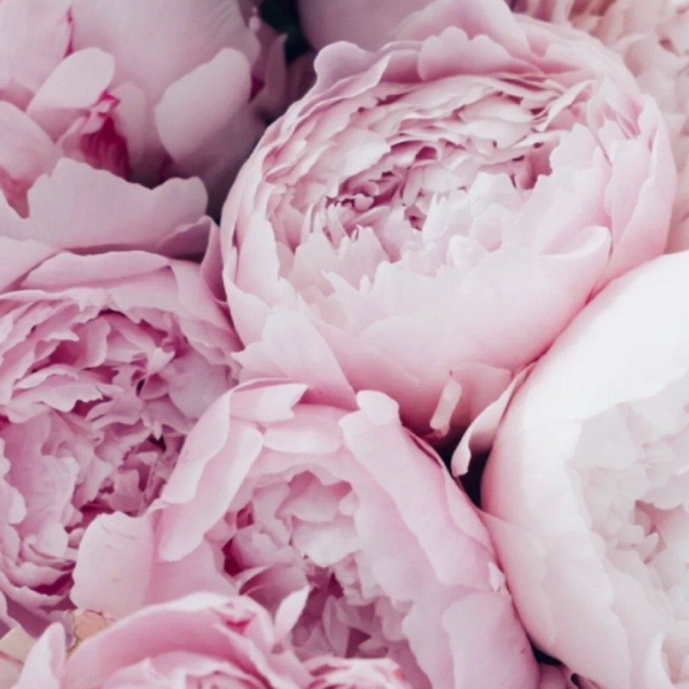 Anti-aging at Pretty Girls Beauty Studio in Plantation, FL