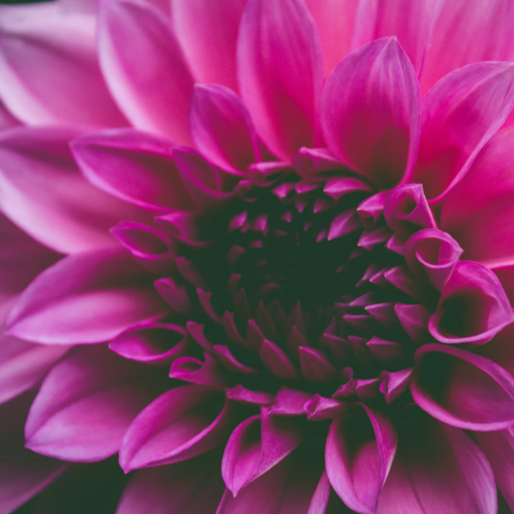 Home Care Consultation