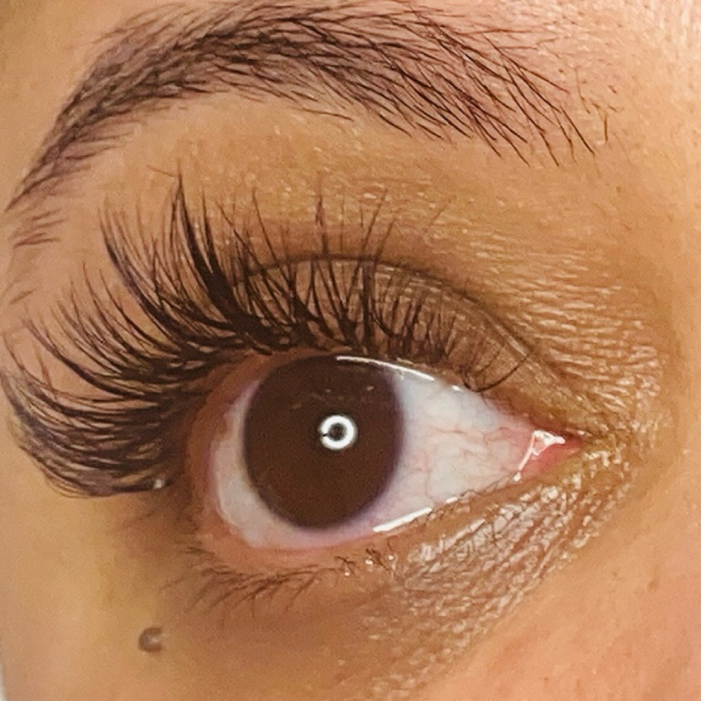 LED Hybrid Fills at Natural Lash and Brow Studio in New York, NY