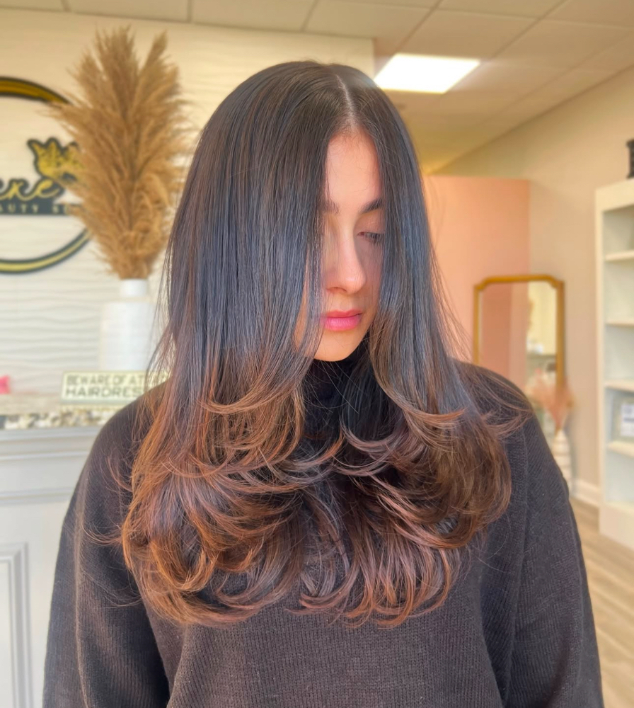Womens Dry Haircut