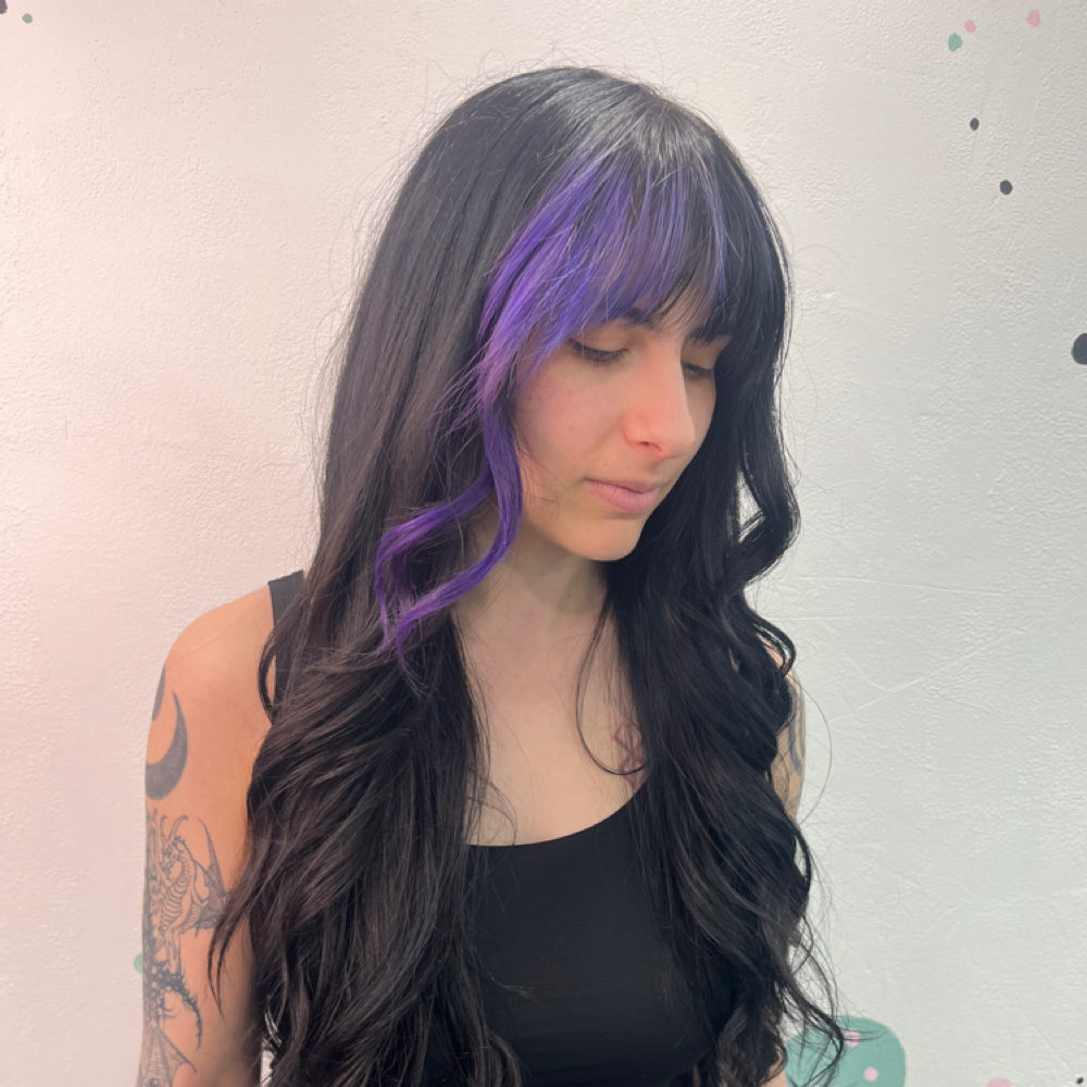 Mini Highlight-6 Foils Max at Danikka’s Planet Glam in Elgin, IL