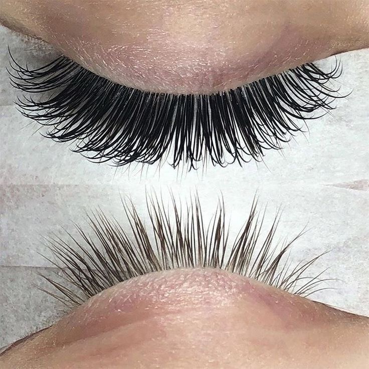 Lash Extensions Fill In (2 Weeks)