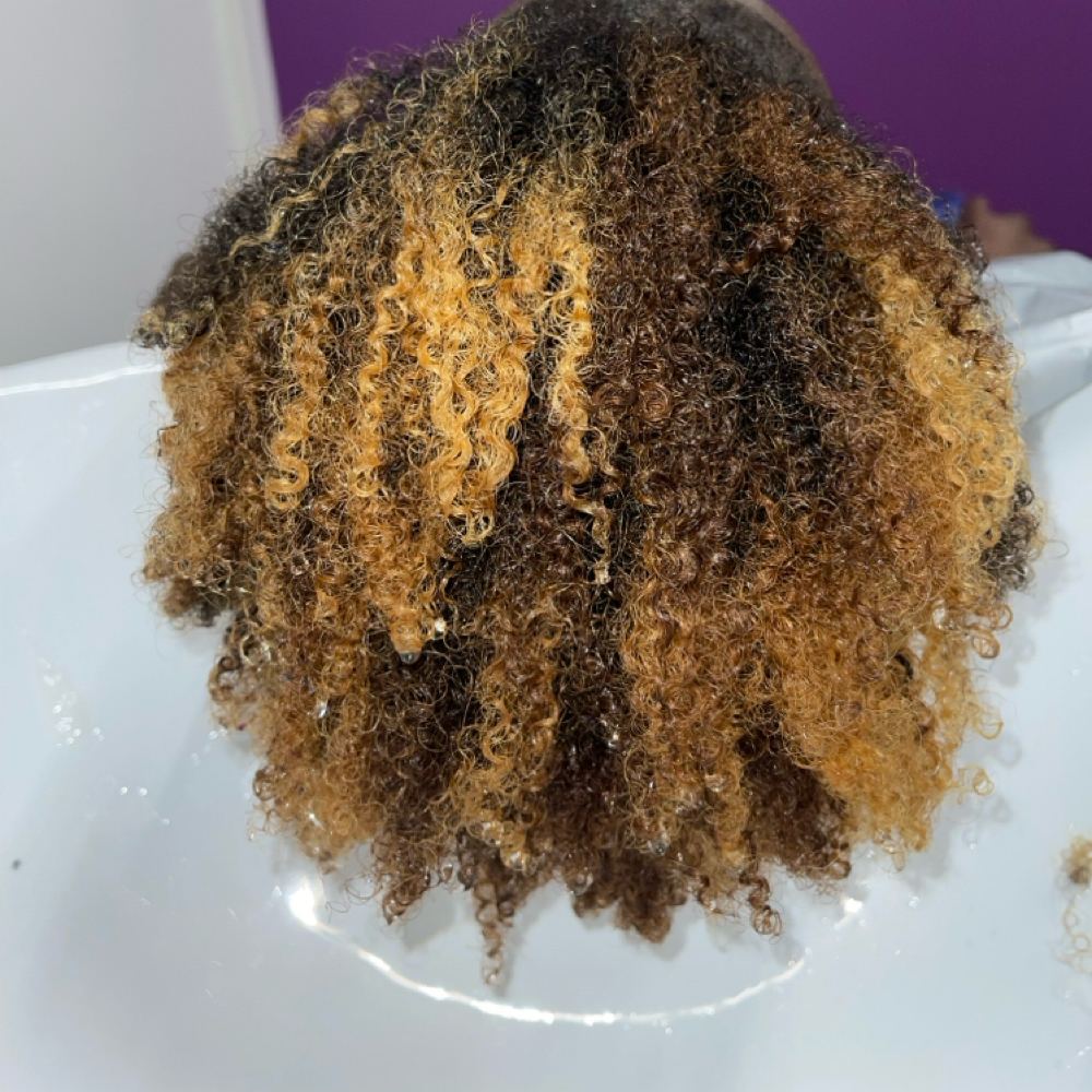 Highlights (1/2 Head) at Picturesque Hair in Pittsburgh, PA