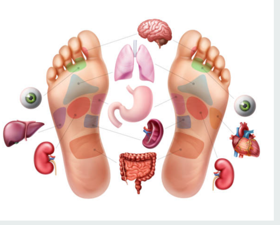 Reflexology