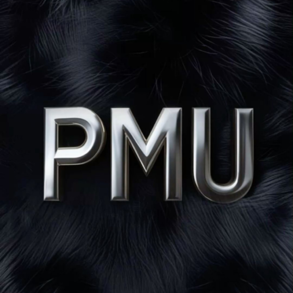 PMU - Touch Up at Ella Myer Esthetics in Pensacola, FL