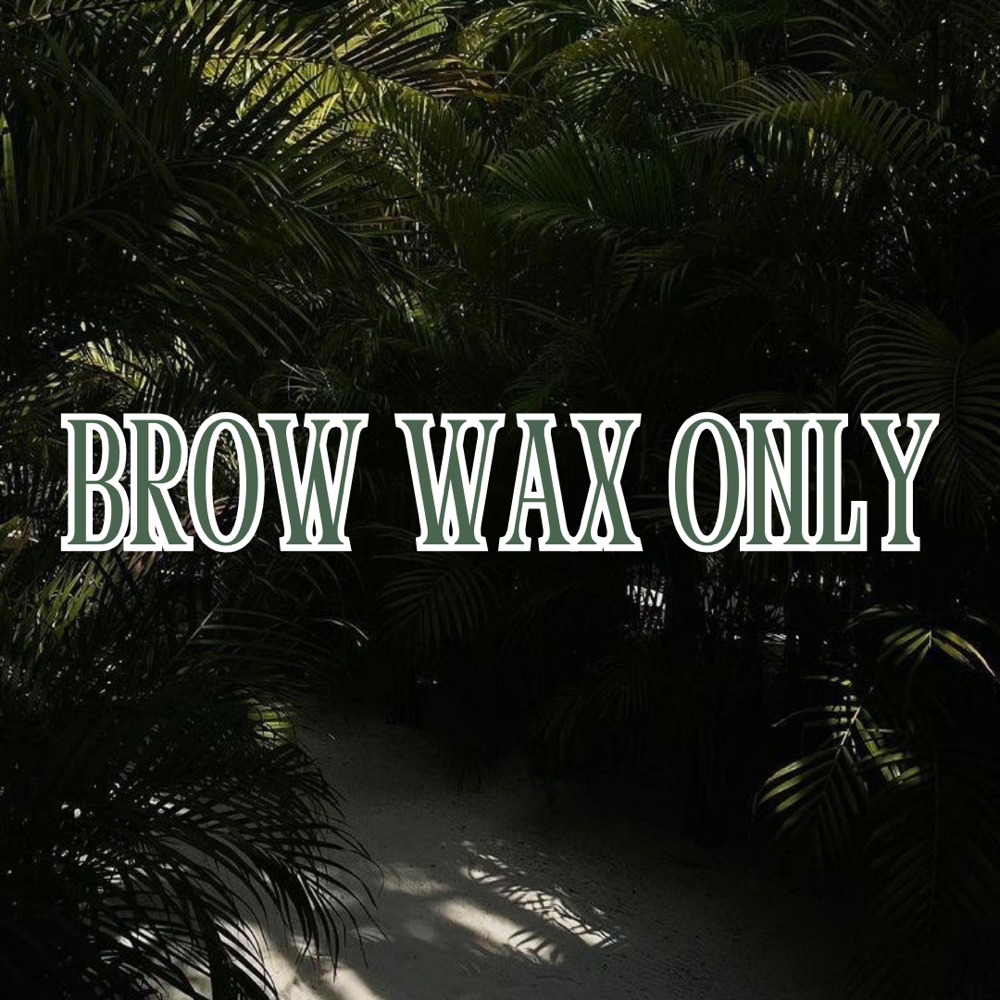 BROW WAX ONLY