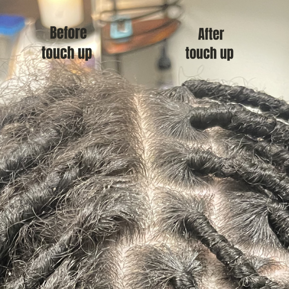 Faux Locs Touch-up at Ronniejay Collection in Harrisburg, PA