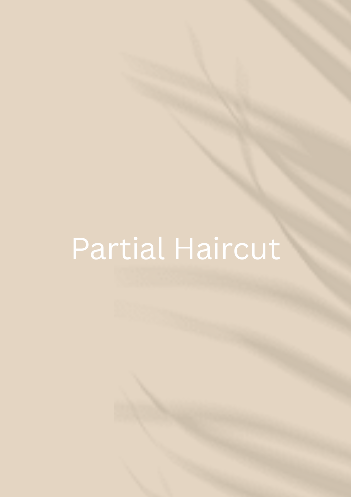 Partial Haircut
