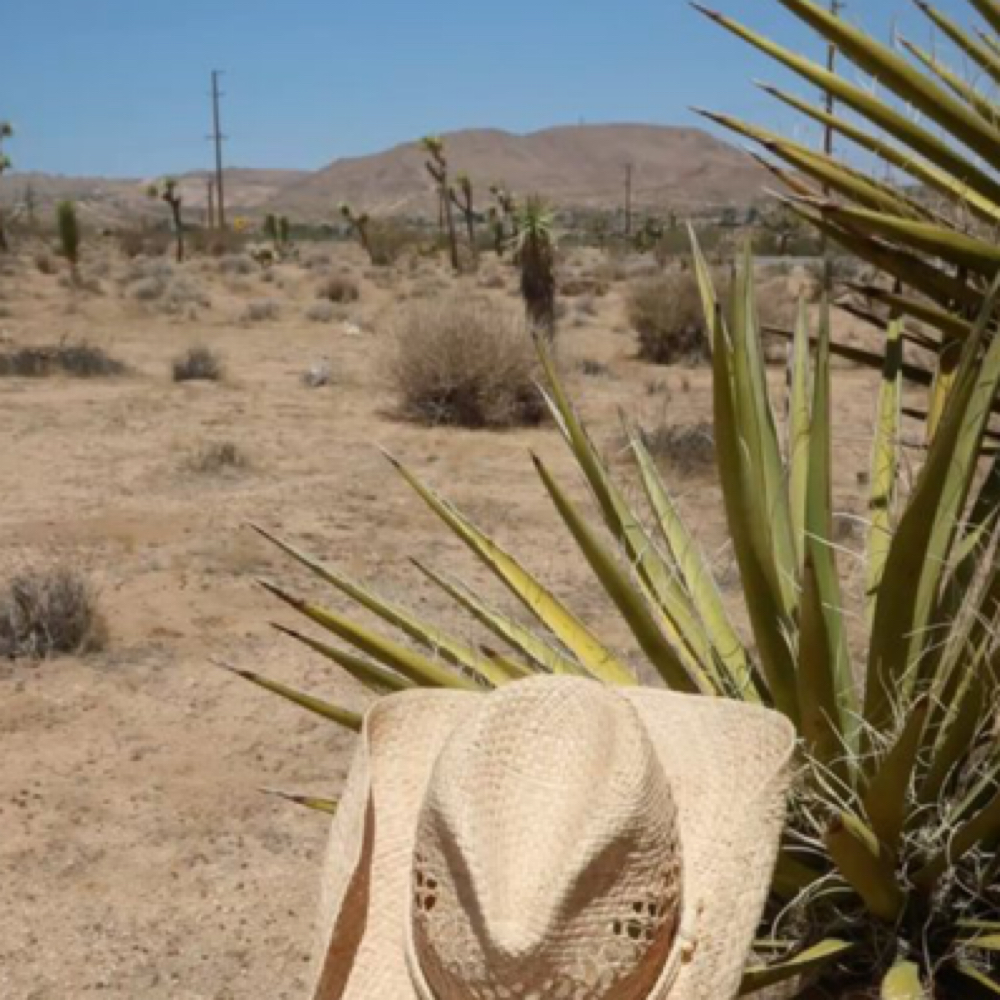 Desert Clay Hydrating Facial at TheBeautyRoom. LLC in Surprise, AZ