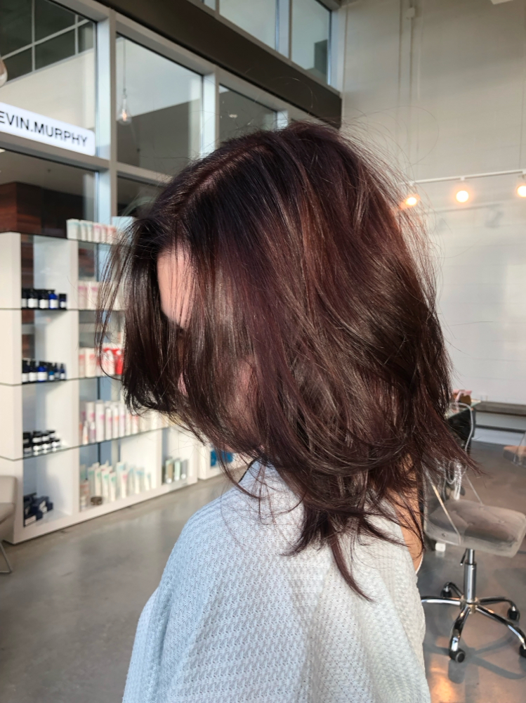 Color Roots To Ends W/ Blowdry