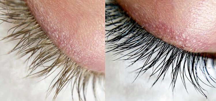 Lash Tint