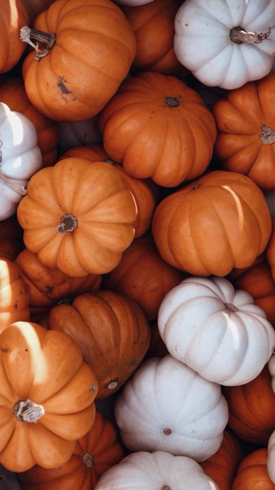 Fall Facial Special