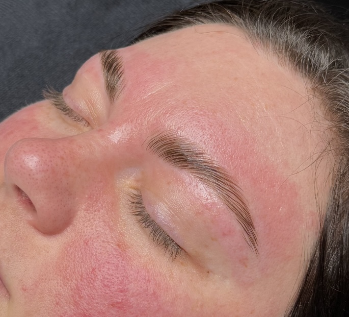 New Client Brow Lamination, NO TINT
