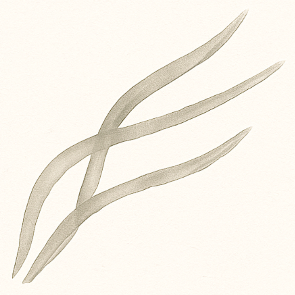 Mens Haircut at trio+grace salon co. in River Falls, WI