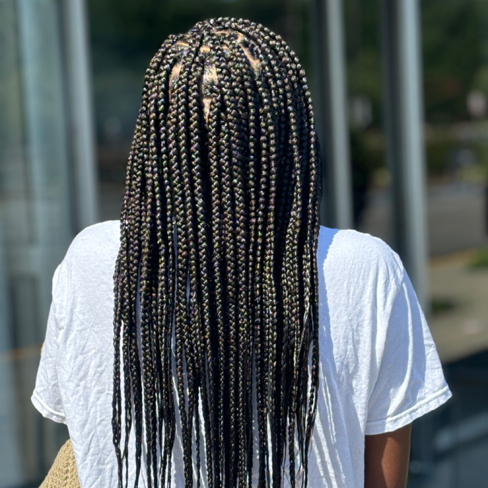 Box Braids at Destiny's Crown Creations in Ashland, VA