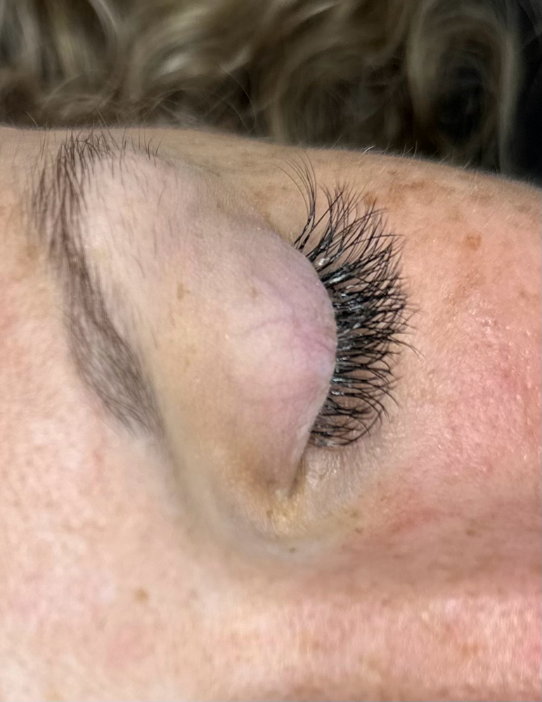 Eye Lash Fill